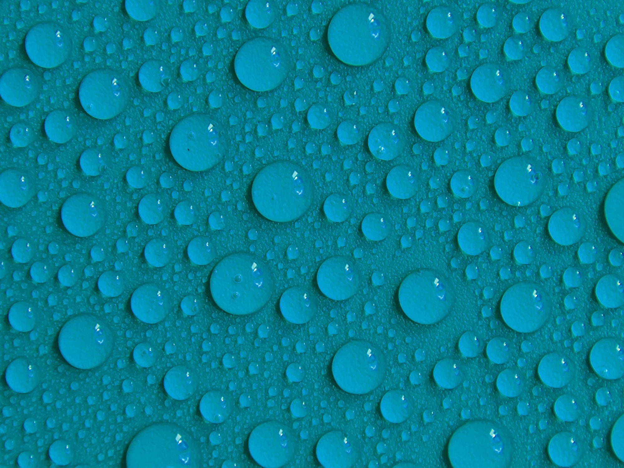 What is Hydration?