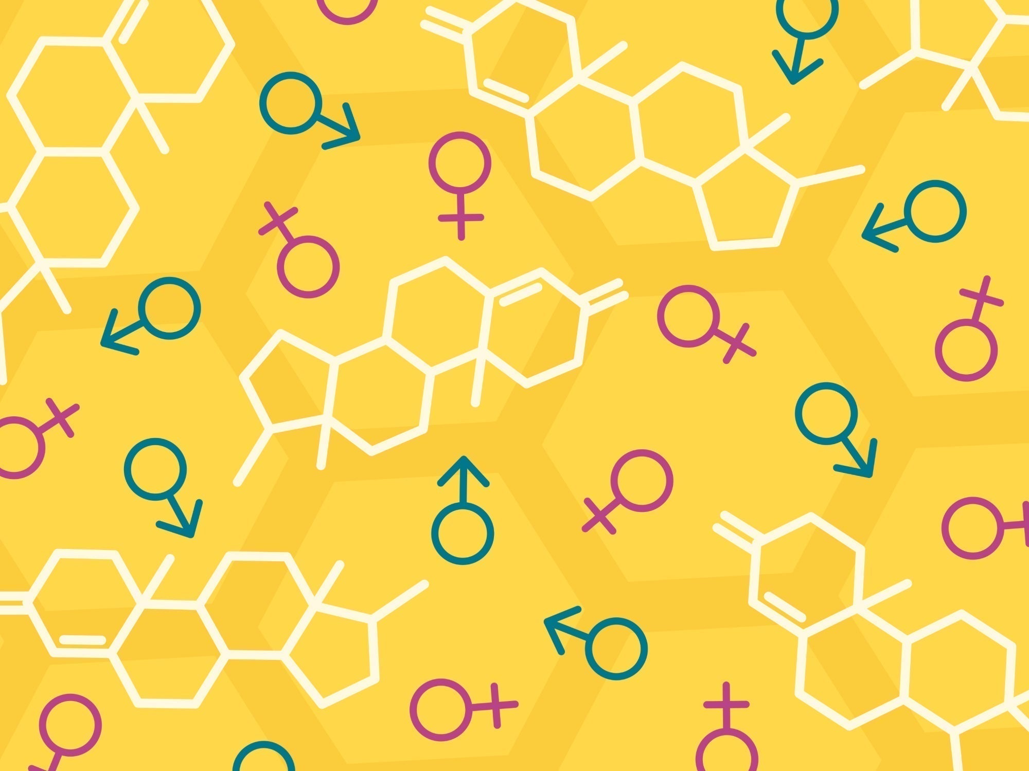 Hormones and Blood Health