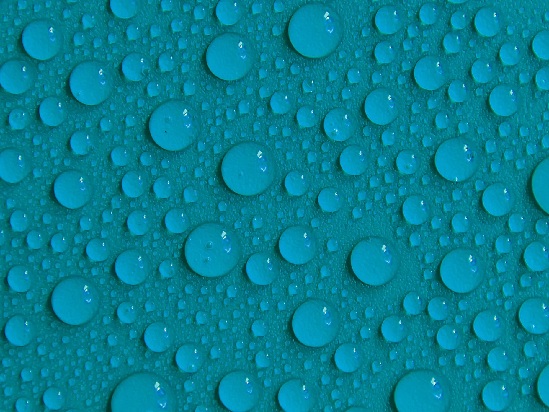 what-is-hydration-sanguina