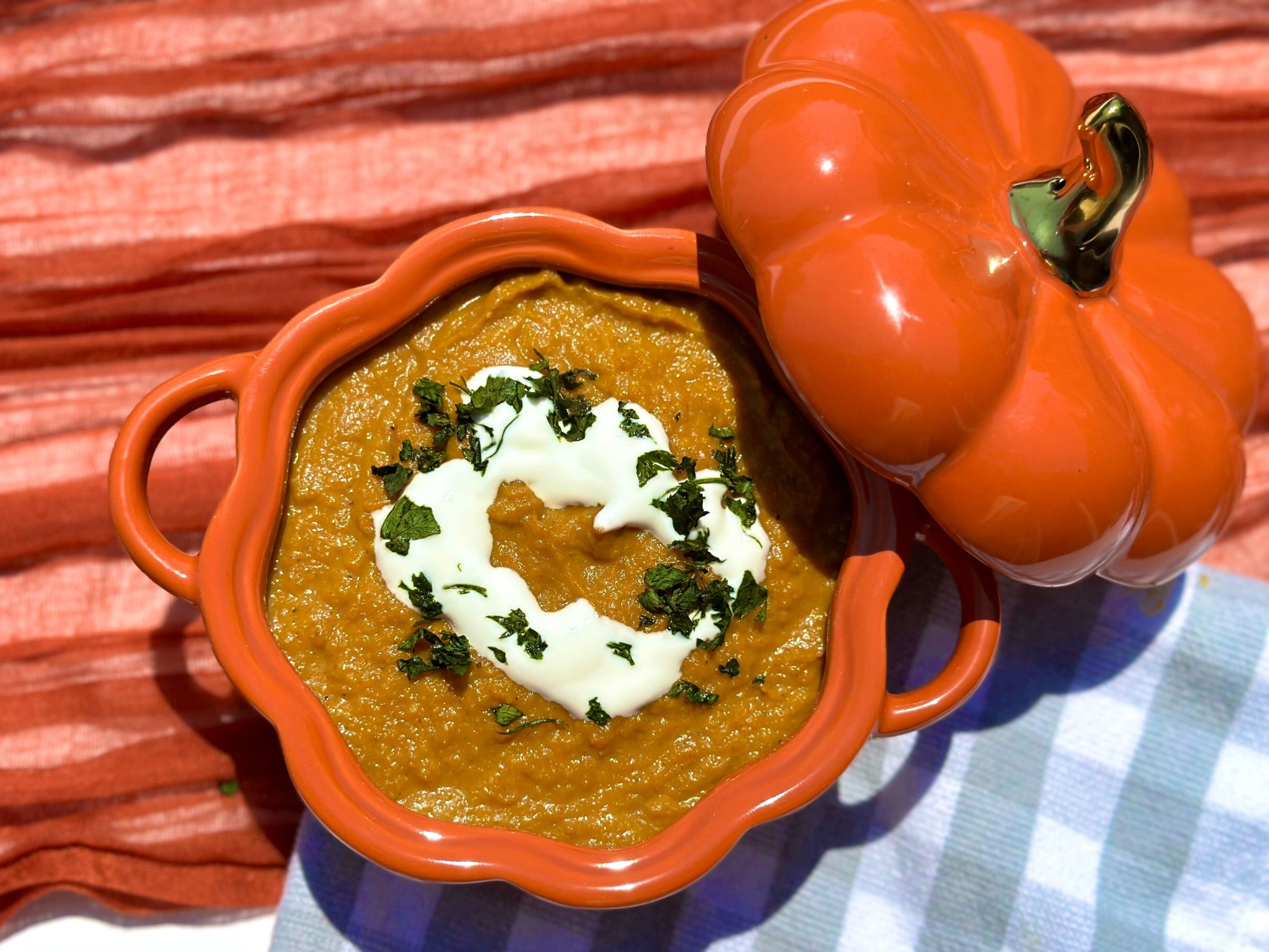 Spicy Pumpkin Soup