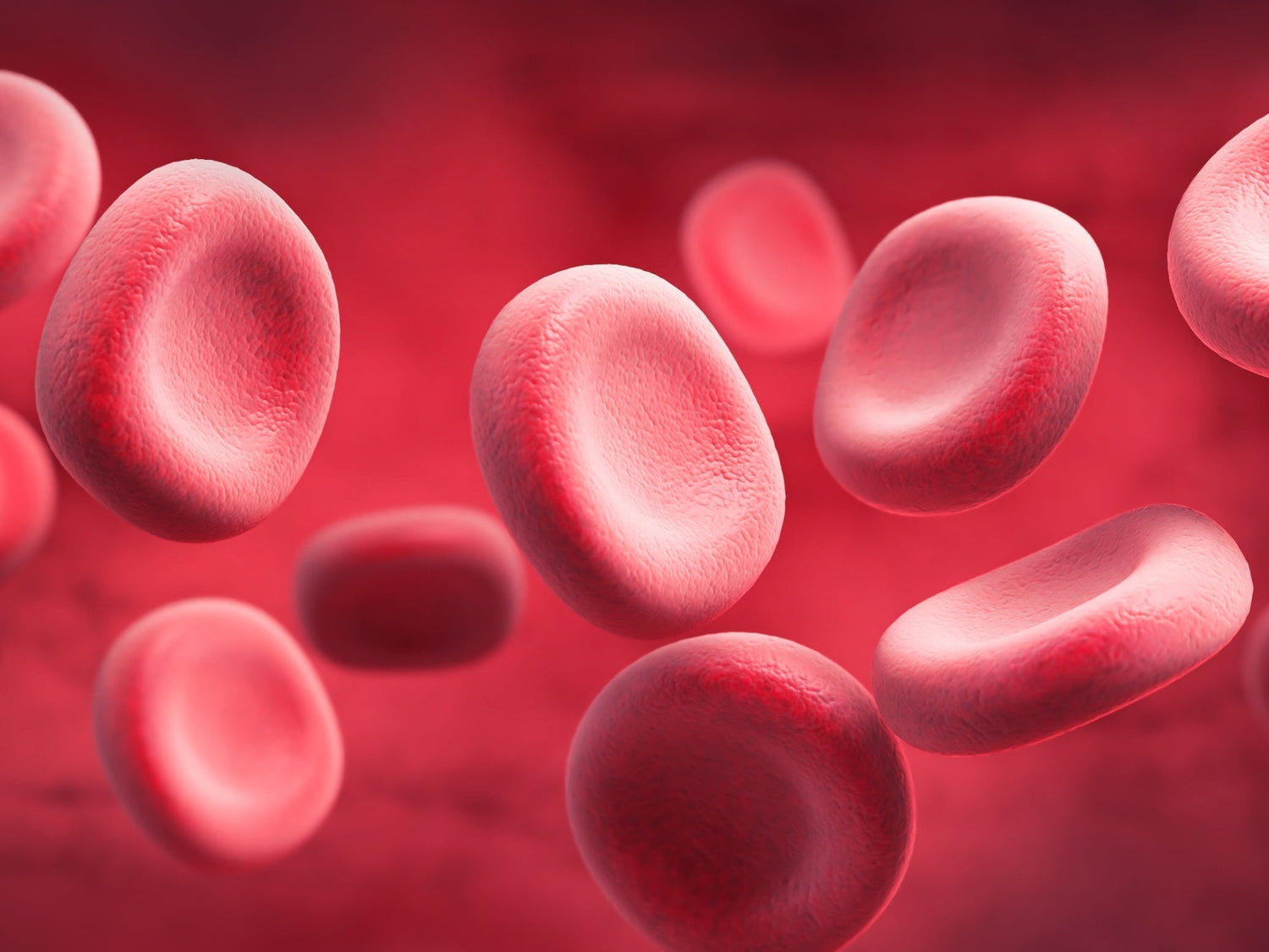 Understanding Rare Anemias: An Overview of Lesser-Known Types